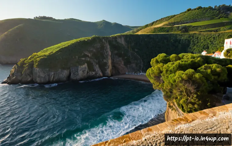 Exercício verde: como mudou a perceção pública e quando procurar orientação profissional 4 그린 운동 처방에 대한 대중의 인식 변화 관련 이미지 2